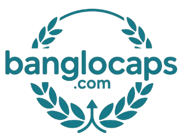 My Blog